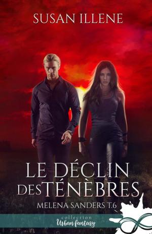 Cover of Le déclin des Ténèbres