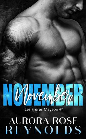 Cover of the book November by KyAnn Waters