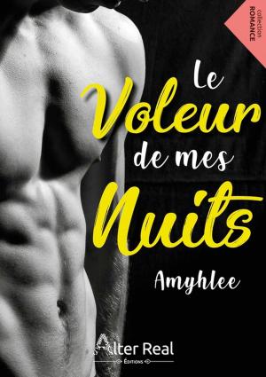 Cover of the book Le voleur de mes nuits by Jennifer Pourrat