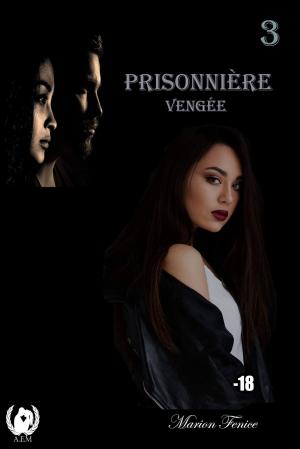 Cover of the book Prisonnière - Tome 3 by Nelly Topscher, Christian Guillerme, Emmanuel Starck
