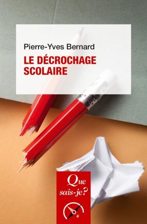 Book cover of Le décrochage scolaire