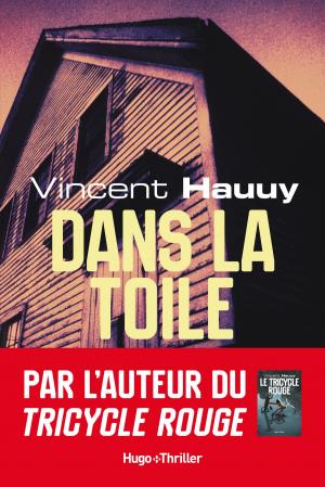 Cover of Dans la toile by Vincent Hauuy, Hugo Publishing