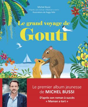 Cover of the book Le grand voyage de Gouti by Nancy DELVAUX, Aline de PÉTIGNY