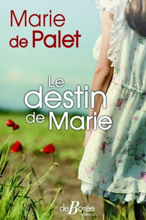 Cover of the book Le Destin de Marie by Michel Verrier