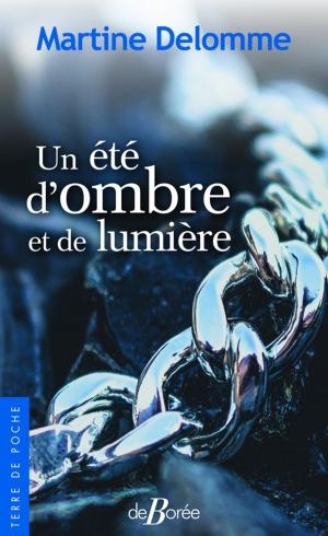 Cover of the book Un été d'ombre et de lumière by Jean-Luc Aubarbier