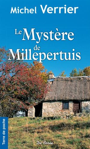Book cover of Le Mystère de Millepertuis