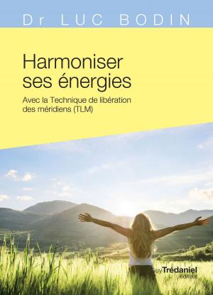 Cover of the book Harmoniser ses énergies by Michael Gienger, Joachim Goebel