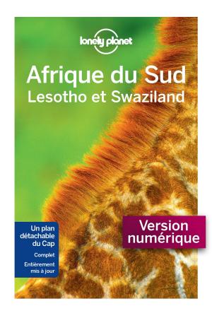 Cover of the book Afrique du Sud 10 by Philippe SIMON
