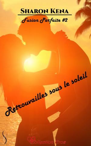 Cover of the book Retrouvailles sous le soleil by Pierrette Lavallée