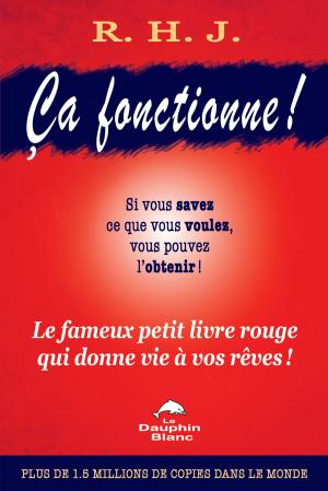 Cover of the book Ça fonctionne ! by Stéfanie Grenon
