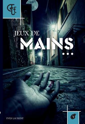 Cover of the book Jeux de mains by Patrick Salameh