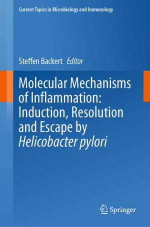Cover of the book Molecular Mechanisms of Inflammation: Induction, Resolution and Escape by Helicobacter pylori by Nicola Bellomo, Abdelghani Bellouquid, Livio Gibelli, Nisrine Outada