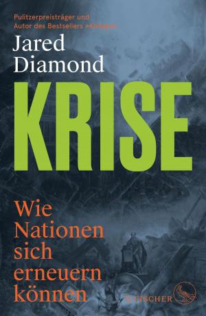 Cover of the book Krise by Günter de Bruyn