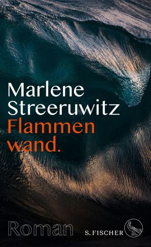 Book cover of Flammenwand.