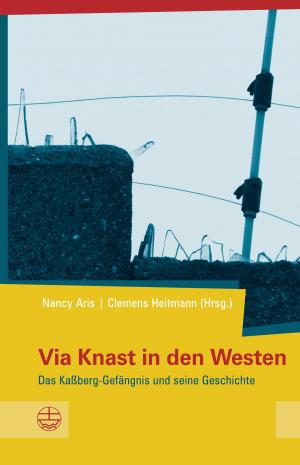 Cover of the book Via Knast in den Westen by Fabian Vogt