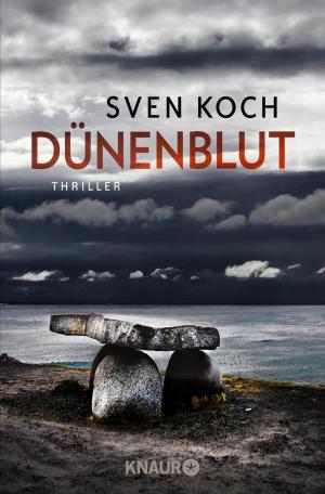 Cover of the book Dünenblut by Jürgen Schreiber
