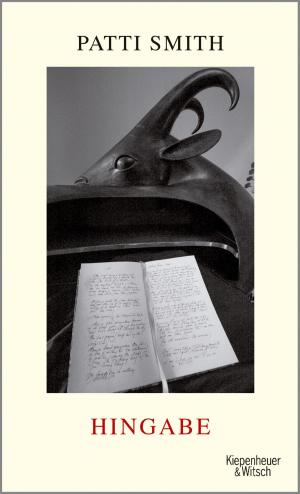 Cover of the book Hingabe by Kathrin Schmidt