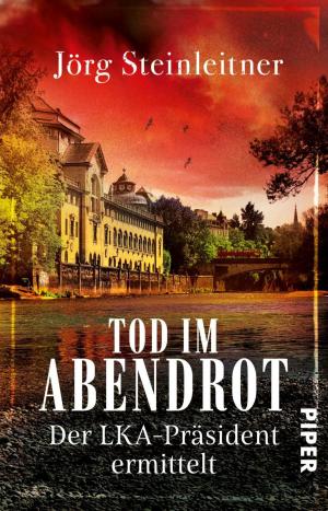 Cover of the book Tod im Abendrot by Dan Wells