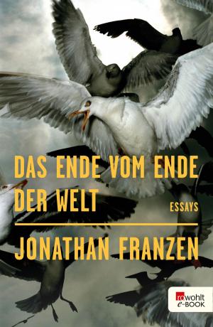 Cover of the book Das Ende vom Ende der Welt by Lincoln Child