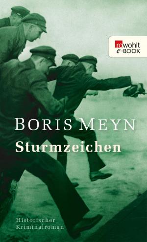 Cover of the book Sturmzeichen by Dieter Borchmeyer