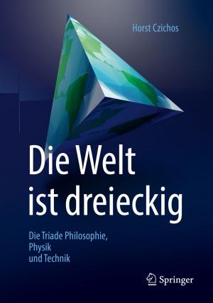 Book cover of Die Welt ist dreieckig