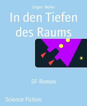 Cover of the book In den Tiefen des Raums by BR Raksun