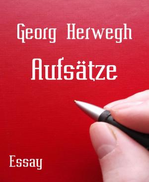 Cover of the book Aufsätze by Yagnesh Chokasi