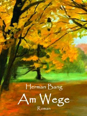 Cover of the book Am Wege by Gerd Steinkoenig