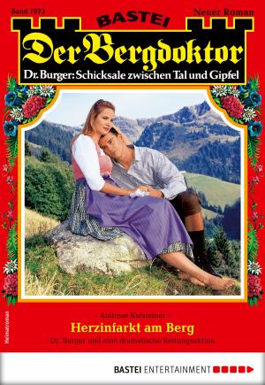 Cover of the book Der Bergdoktor 1973 - Heimatroman by Christine Drews