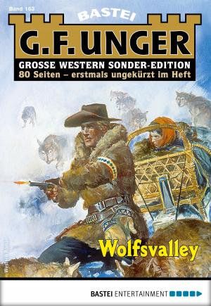 Cover of the book G. F. Unger Sonder-Edition 163 - Western by Crystalwizard