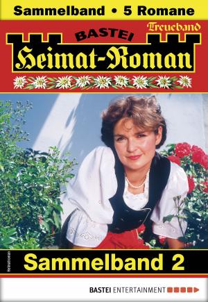 Book cover of Heimat-Roman Treueband 2 - Sammelband