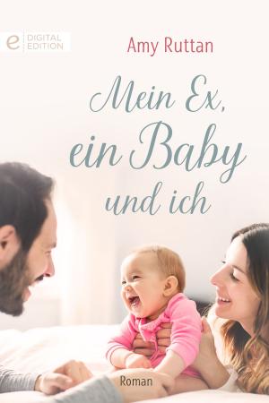 Cover of the book Mein Ex, ein Baby und ich by DIANA PALMER