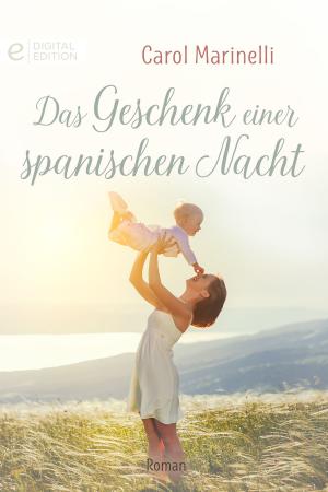 Book cover of Das Geschenk einer spanischen Nacht