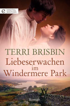 Book cover of Liebeserwachen im Windermere Park