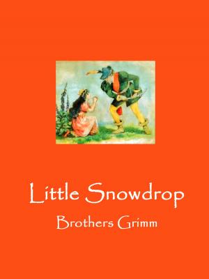 Cover of the book Little Snowdrop by Wolfgang Wellmann, Marc Ericson