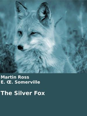 Book cover of The Silver Fox