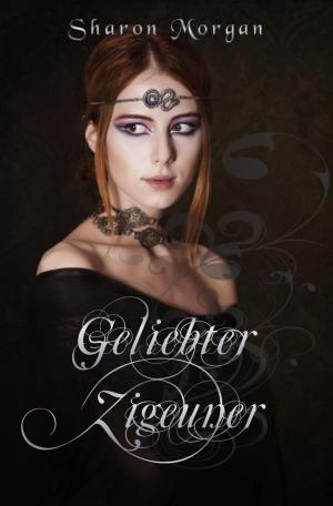 Book cover of Geliebter Zigeuner