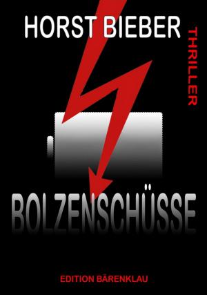 Cover of the book Bolzenschüsse: Thriller by Upendra Rana