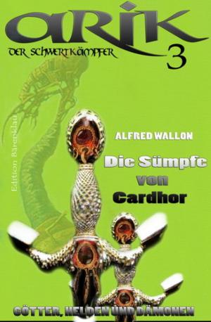 Cover of the book Arik der Schwertkämpfer 3: Die Sümpfe von Cardhor by Jay Di Meo