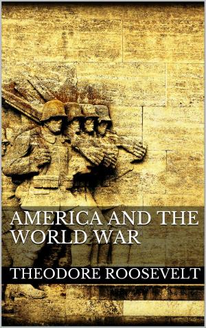 Cover of the book America and the World War by Pea Jung