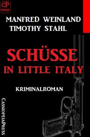 Book cover of Schüsse in Little Italy