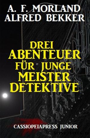 Book cover of Drei Abenteuer für junge Meisterdetektive