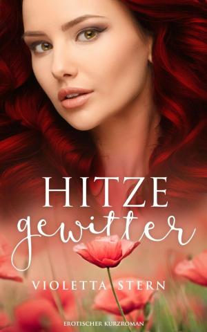 Cover of the book Hitzegewitter by Amelia Keldan
