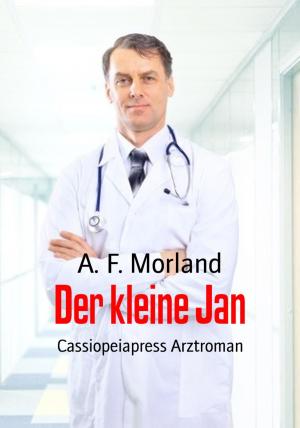 Cover of the book Der kleine Jan by Edgar Rice Burroughs