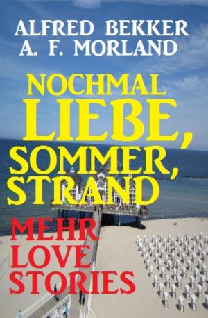 Cover of the book Nochmal Liebe, Sommer, Strand: Love-Stories by Wilfried A. Hary, W. A. Travers