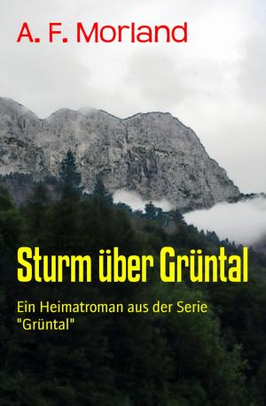 Cover of the book Sturm über Grüntal by Alfred Bekker