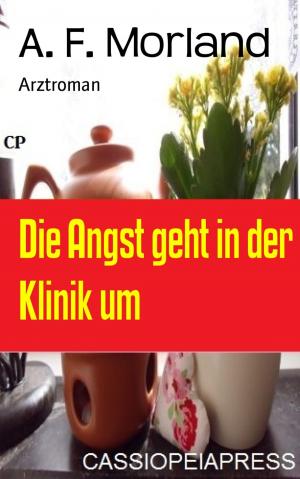 Cover of the book Die Angst geht in der Klinik um by Sandy Palmer