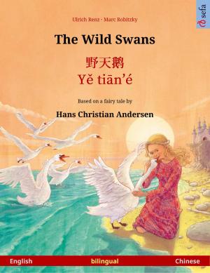 Cover of The Wild Swans – 野天鹅 · Yě tiān'é (English – Chinese)