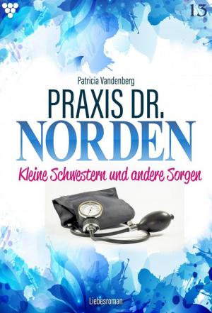Book cover of Praxis Dr. Norden 13 – Arztroman