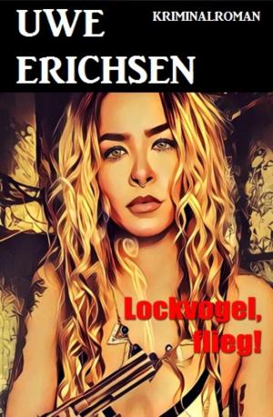 Cover of the book Lockvogel, flieg! by Kristi Belcamino